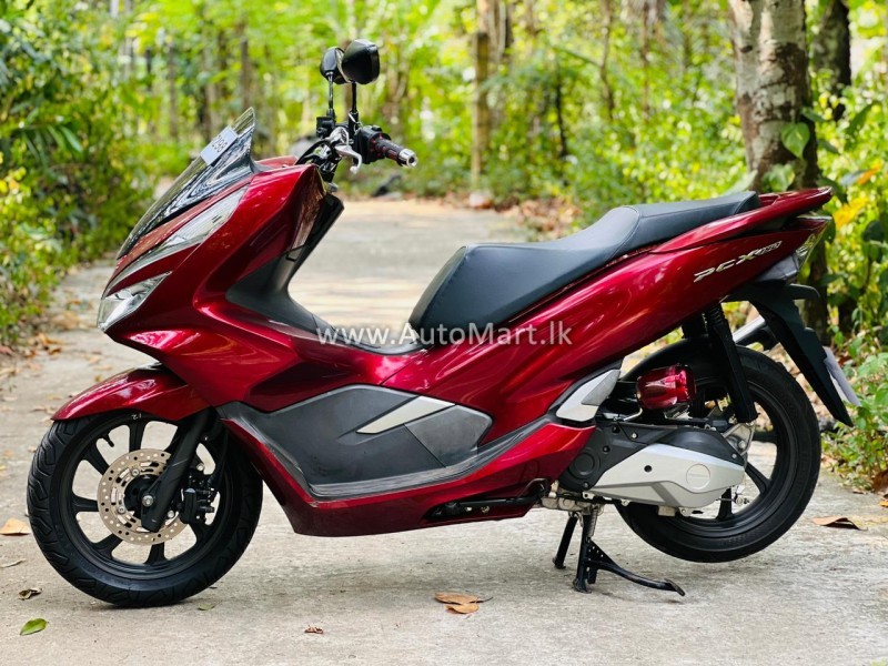 Image of Honda HONDA PCX ANJEL LIGHT 150  BJF  2024 2019 Motorcycle - For Sale