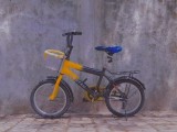  DSI 16 Inch BMX Kids Bicycle (Used - Like NEW)  Push Cycle