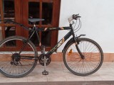  Bike for sale  Push Cycle