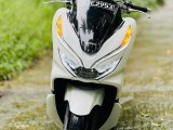 Honda HONDA PCX ANJEL LIGHT 125  BJE  2023 2021 Motorcycle