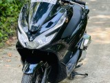 Honda HONDA PCX ANJEL LIGHT 125  BJE  2023 2019 Motorcycle